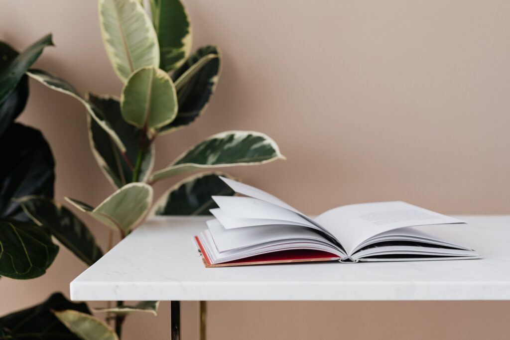 ways to enjoy the little things - Book left open on white table in modern room with green ficus plants