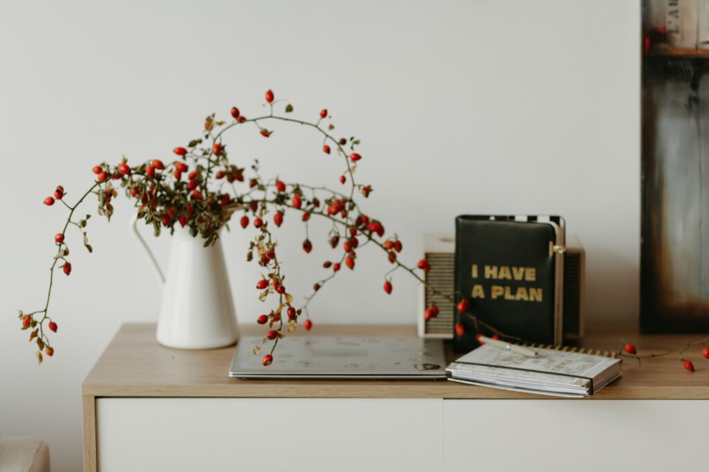 Green and Red Plant on White Ceramic Vase - prioritize your life when everything feels important